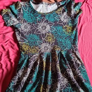 2xl lularoe amelia
